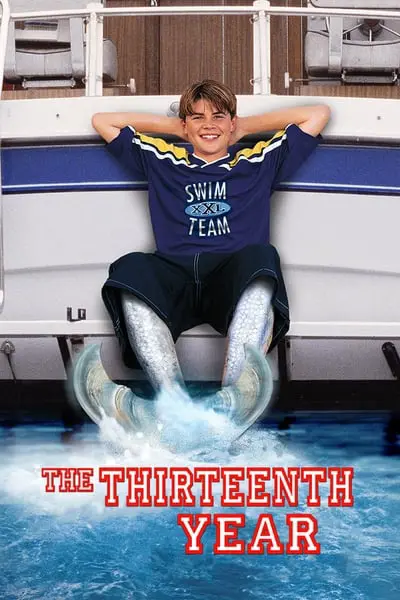 13. Yıl_poster