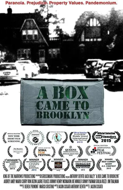 A Box Came to Brooklyn_poster