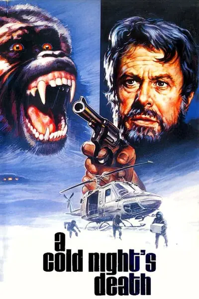A Cold Night's Death_poster