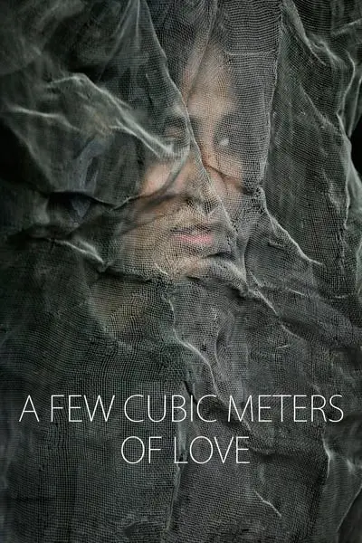 A Few Cubic Meters Of Love_poster