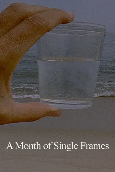 A Month of Single Frames_poster