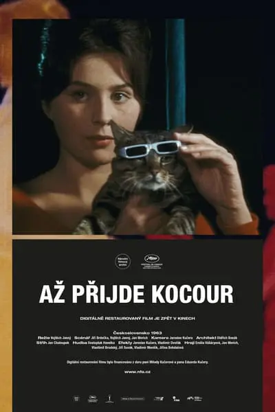 Až přijde kocour_poster