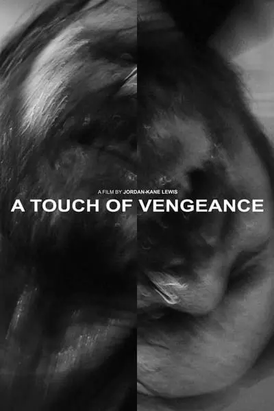 A Touch of Vengeance_poster