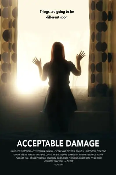 Acceptable Damage_poster