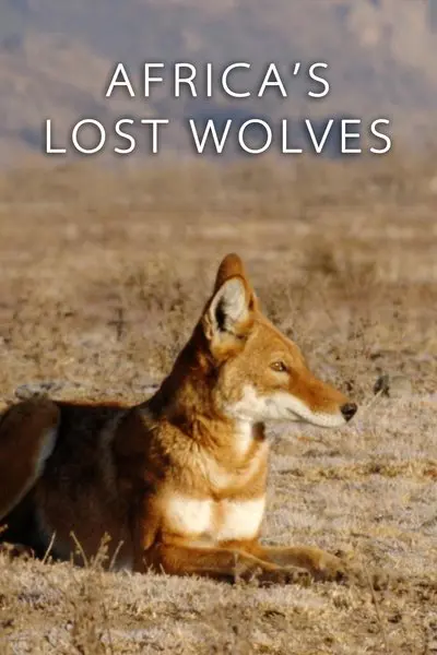 Africa's Lost Wolves_poster