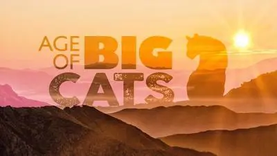 Age of Big Cats_backdropimg