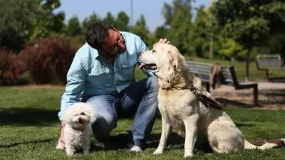 Amores perros_backdropimg