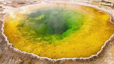 Ancient Yellowstone_backdropimg
