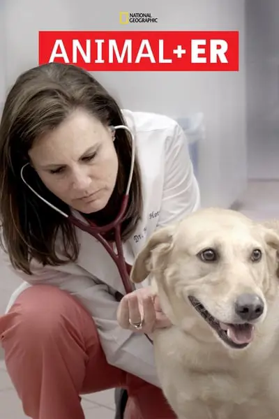 Animal ER_poster
