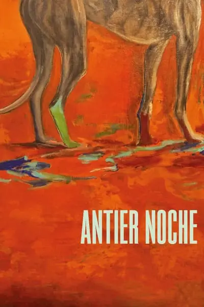 Antier noche_poster