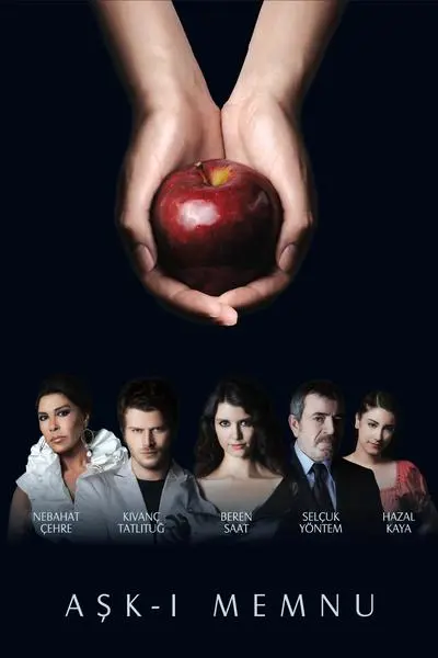 Aşk-ı Memnu_poster