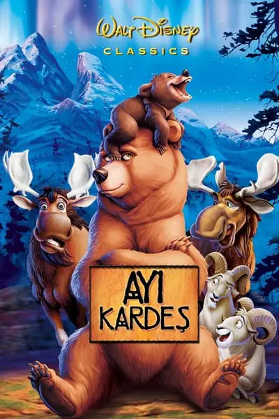 Ayı Kardeş_poster