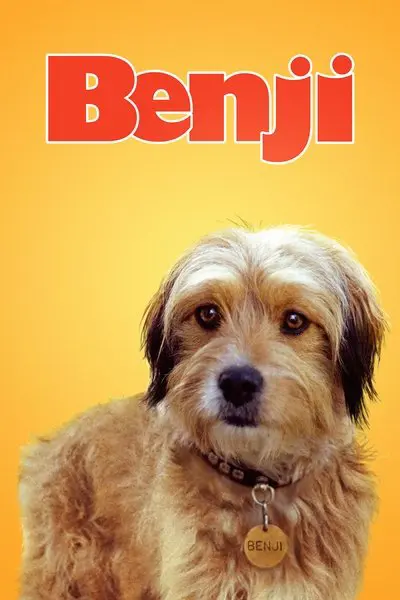 Benji_poster
