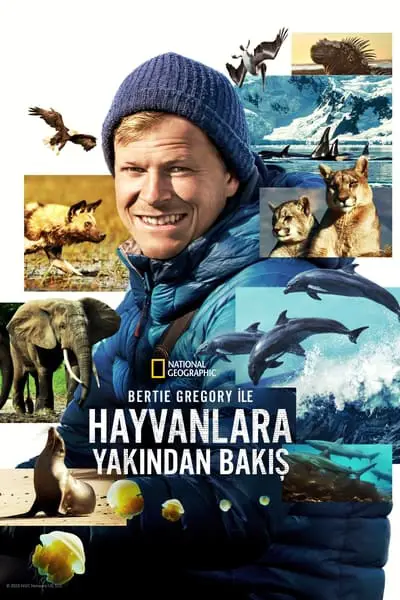 Bertie Gregory ile Hayvanlara Yakından Bakış_poster