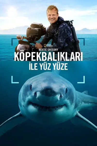 Bertie Gregory Köpekbalıkları ile Yüz Yüze