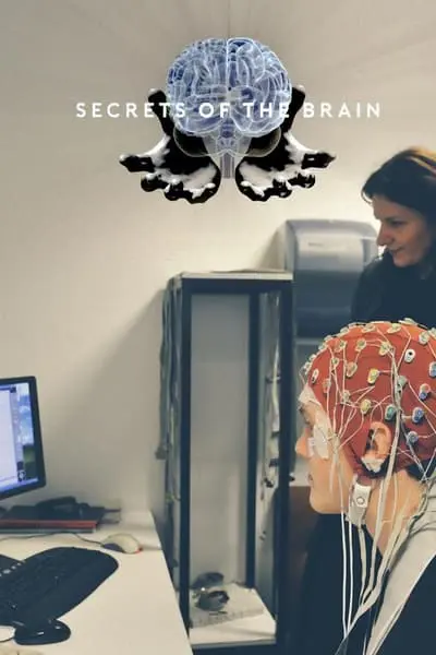 Beynin Sırları_poster