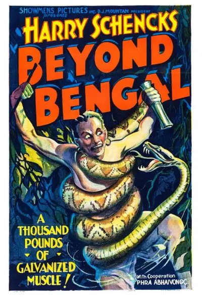 Beyond Bengal_poster