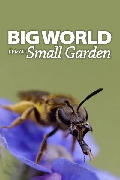 Big World In A Small Garden_poster
