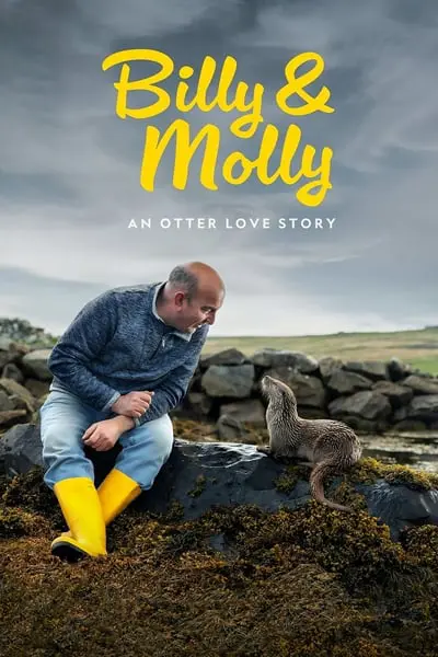 Billy ve Molly: Bambaşka Bir Sevginin Hikayesi_poster