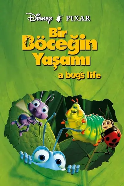 Bir Böceğin Yaşamı_poster