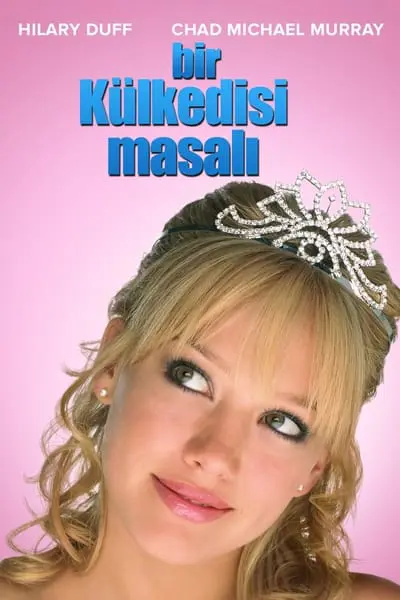 Bir Külkedisi Masalı_poster
