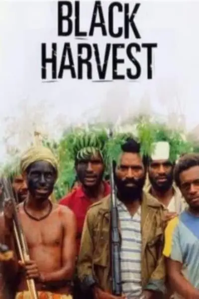 Black Harvest_poster