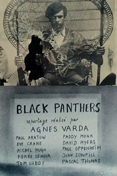 Black Panthers_poster