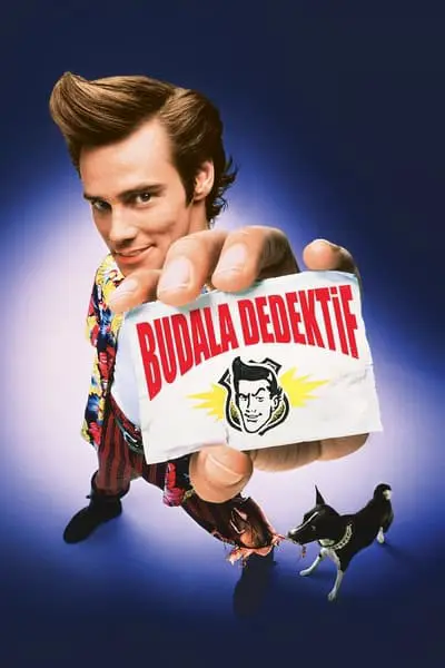 Budala Dedektif_poster