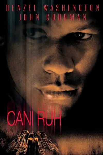 Cani Ruh_poster
