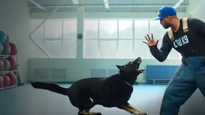 Canine Intervention_backdropimg