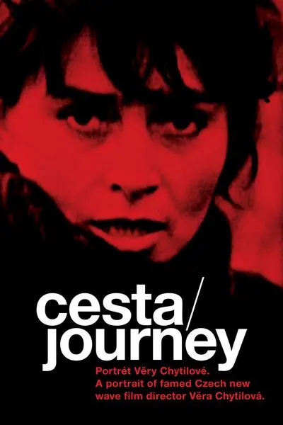 Cesta – portrét Věry Chytilové_poster