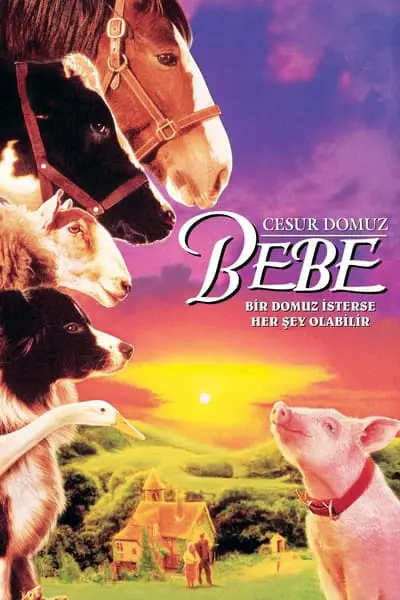 Cesur Domuz Bebe_poster