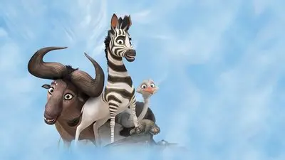 Cesur Zebra_backdropimg