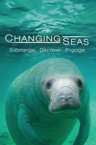 Changing Seas_poster
