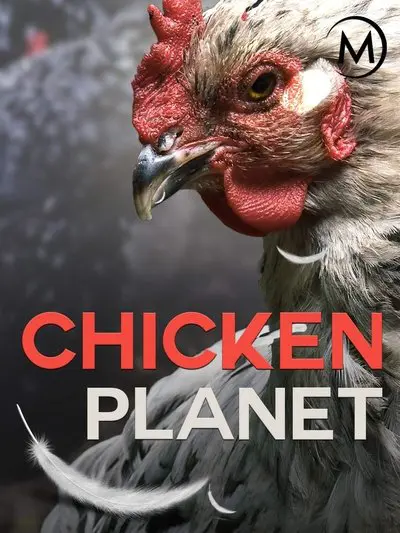Chicken Planet_poster