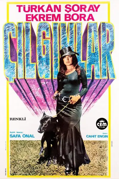 Çılgınlar_poster