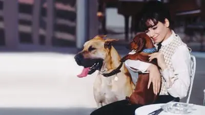 Çirkin Sosis Köpek_backdropimg