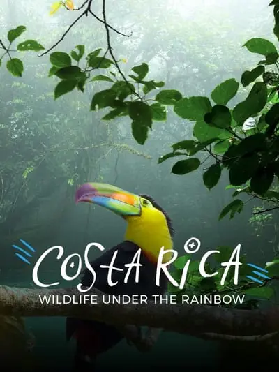 Costa Rica: Wildlife Under The Rainbow_poster
