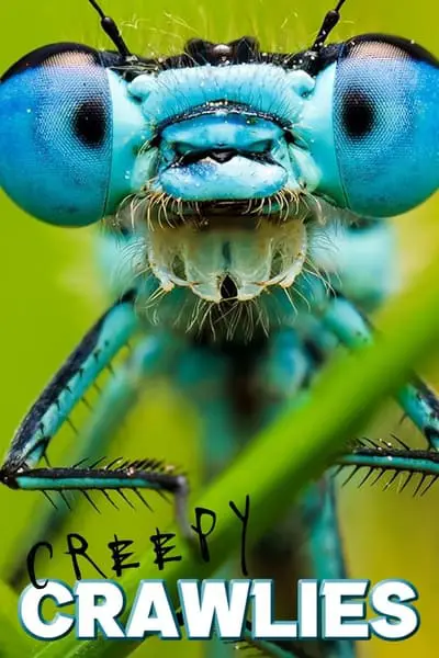 Creepy Crawlies_poster