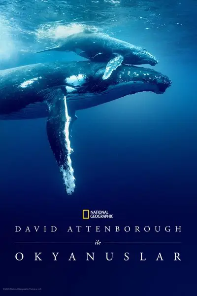 David Attenborough ile Okyanuslar_poster