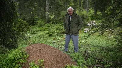 David Attenborough's Ant Mountain_backdropimg