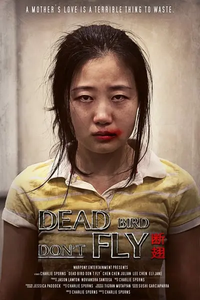 Dead Bird Don't Fly_poster
