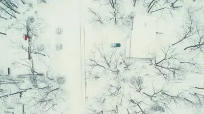 Dead of Winter_backdropimg