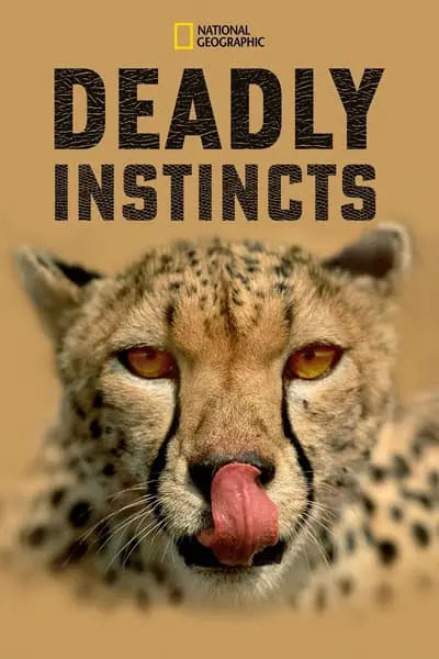 Deadly Instincts_poster