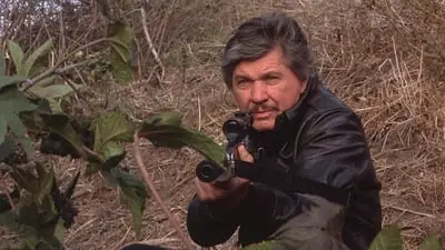 Death Wish 4: The Crackdown_backdropimg