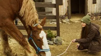 December Horses_backdropimg
