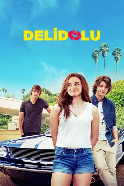 Delidolu_poster