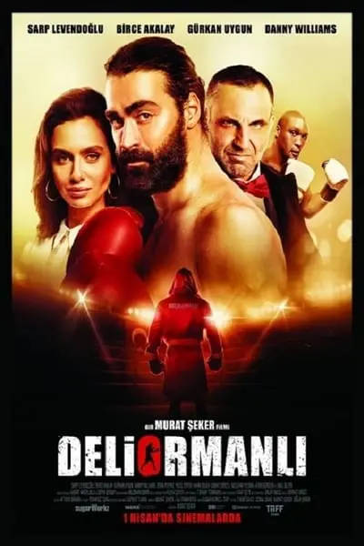 Deliormanlı_poster