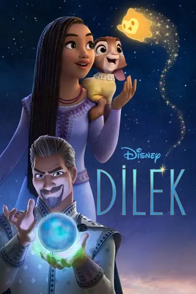 Dilek_poster