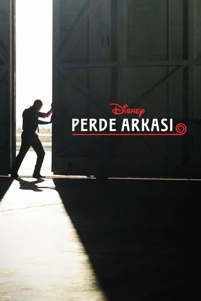 Disney Insider_poster